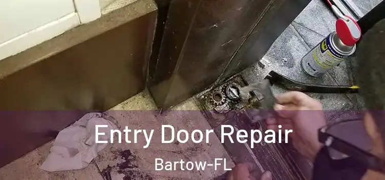  Entry Door Repair Bartow-FL