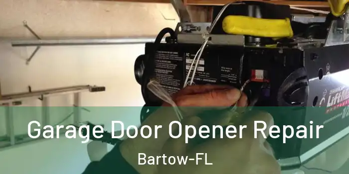  Garage Door Opener Repair Bartow-FL