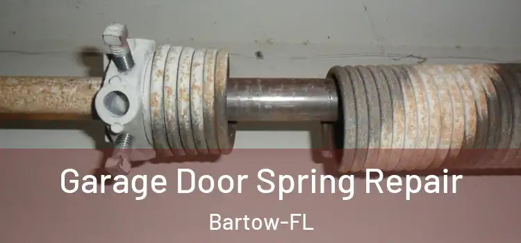  Garage Door Spring Repair Bartow-FL