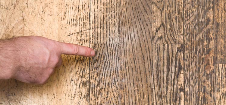 Wood Door Scratch Repair in Bartow