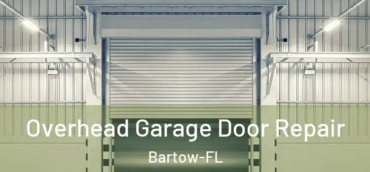  Overhead Garage Door Repair Bartow-FL